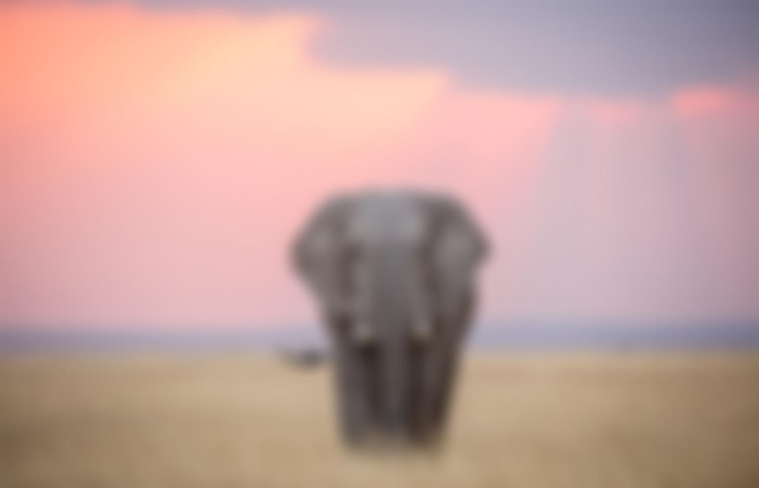 Space For Giants | Charici