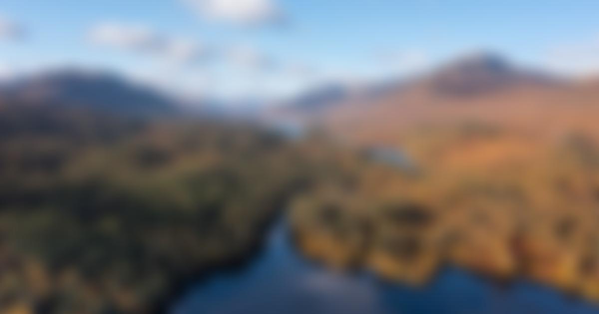 Rewilding Britain | Charici