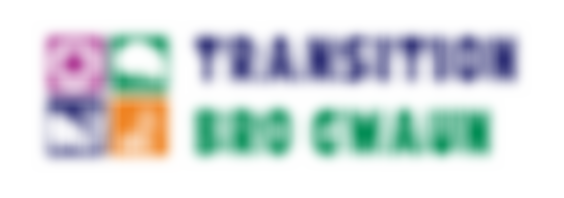 Transition Bro Gwaun Ltd | Charici