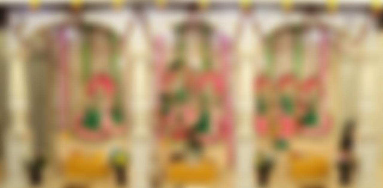 Shree Sanatan Seva Samaj | Charici