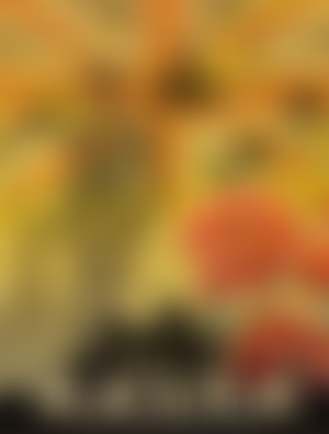 Wight Military And Heritage (Charitable Incorporated) Organisation | Charici