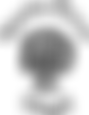 Mendip Green Parent And Teacher Association | Charici