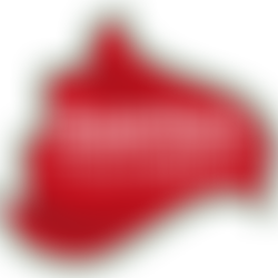 Ward Buddies | Charici