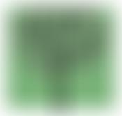 Friends Of Homeyards Botanical Gardens In Shaldon | Charici