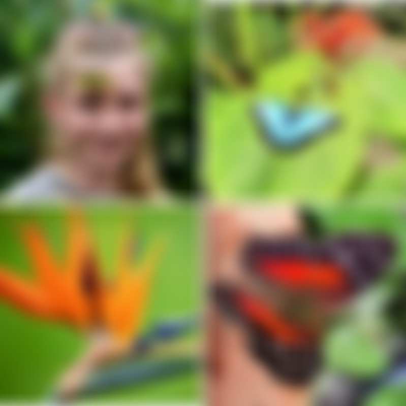 The Magic Of Life Trust | Charici