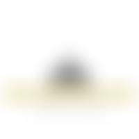 Restoration Faith Global Missions | Charici