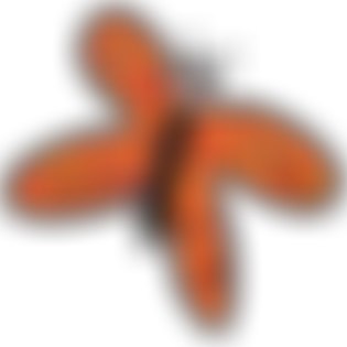 Bulwell Forest Garden | Charici