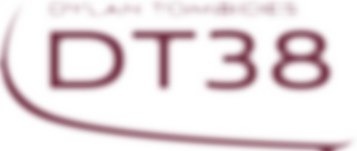 Dt38 Foundation | Charici