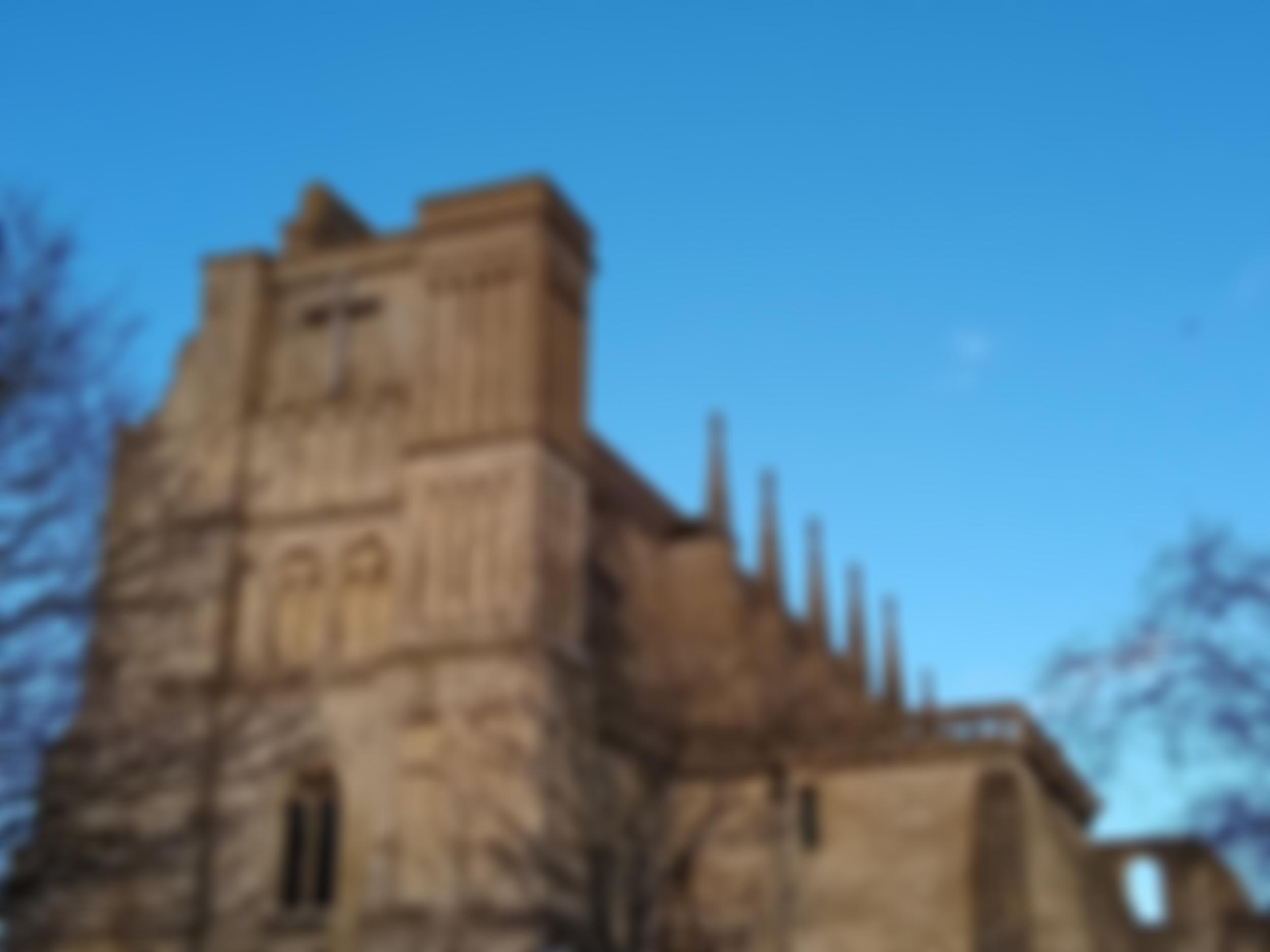 Friends Of Malmesbury Abbey | Charici