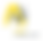 Abs Foundation | Charici