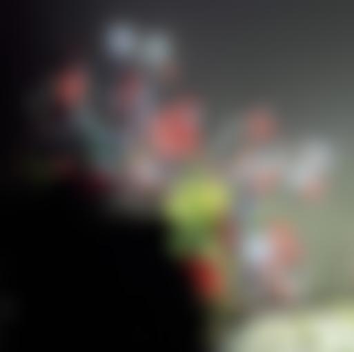 Ogwen Valley Mountain Rescue Cio | Charici