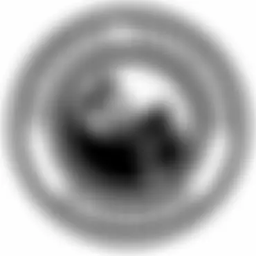 Inclusively Taekwondo | Charici