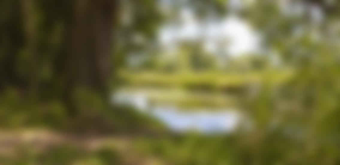 Clare Castle Country Park Trust Cio | Charici