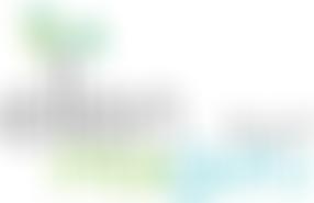 The Ellen "Mai Guru" Trust | Charici