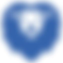 Lion Farm Action Centre (Sandwell) Ltd | Charici