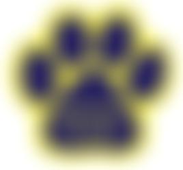 Pensions4Paws | Charici