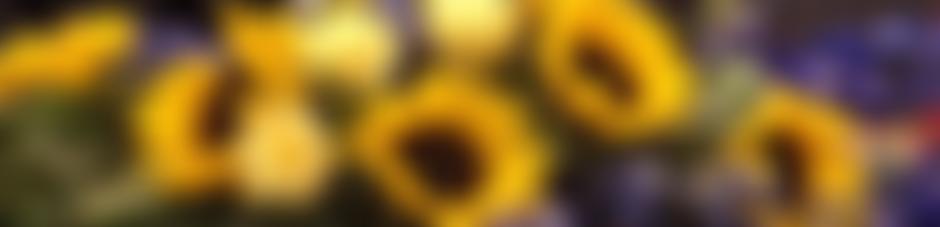 Neston Flower Society | Charici