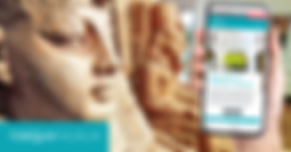 Torquay Museum Society Cio | Charici