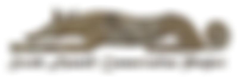 The South Asasif Conservation Trust | Charici