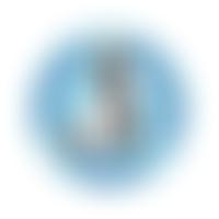 Animal Concern Cumbria | Charici