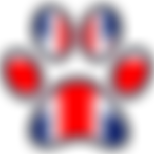 Veterans With Dogs | Charici