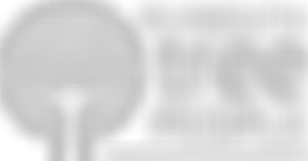 Plymouth Tree People | Charici