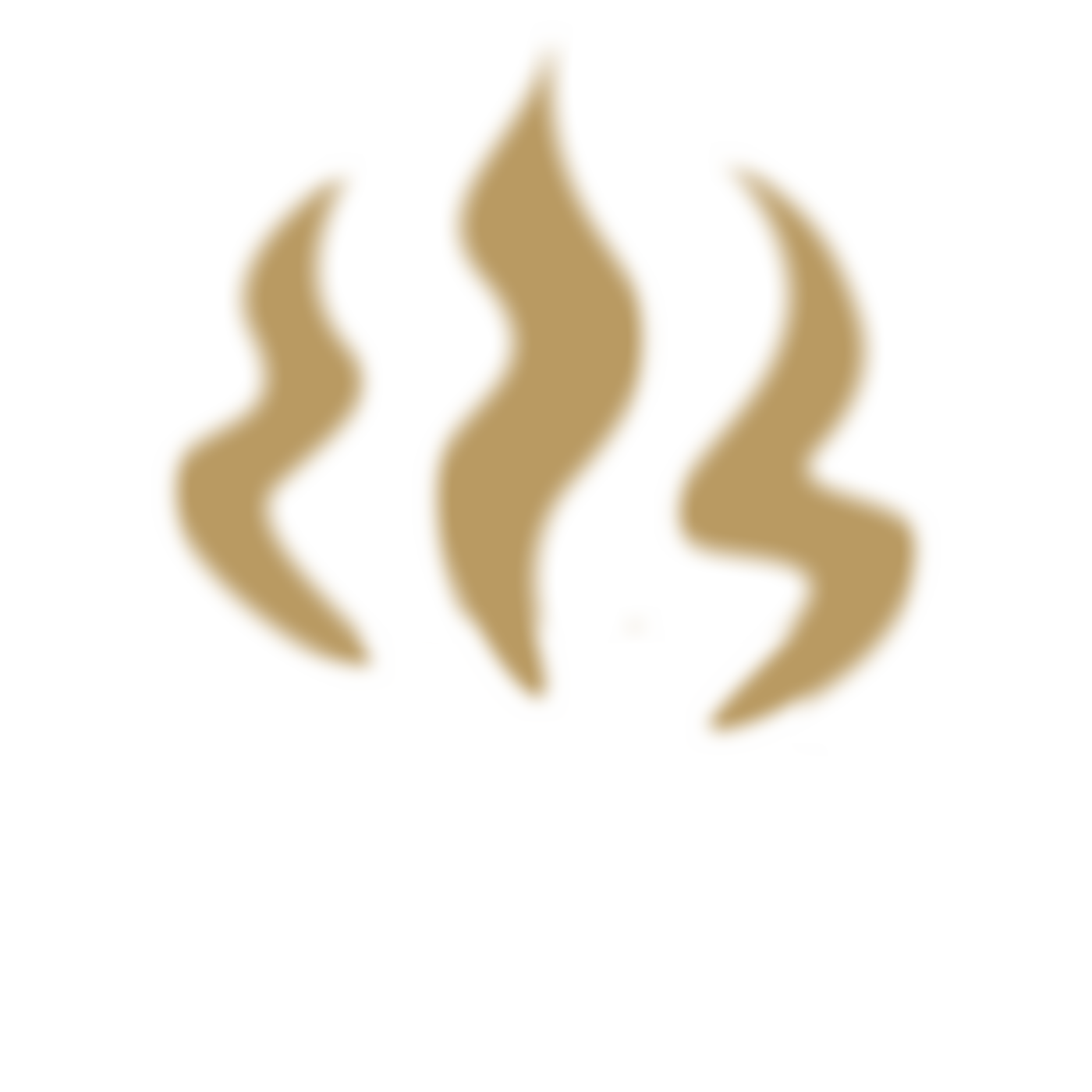 Bury St Edmunds Presbyterian Church | Charici