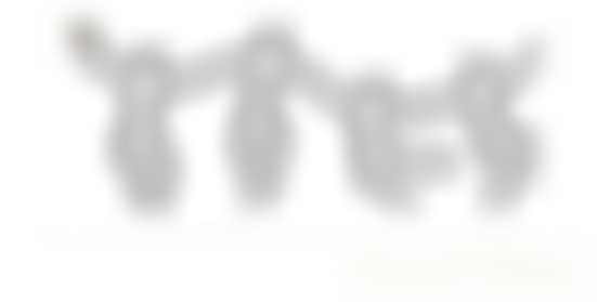 Playback Theatre South West | Charici