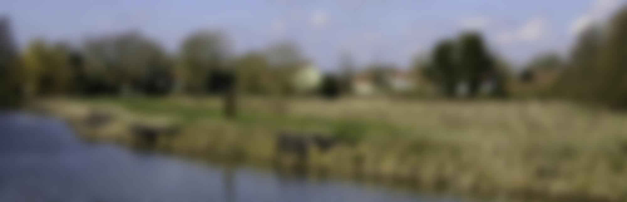 Falcon Meadow Community Trust | Charici