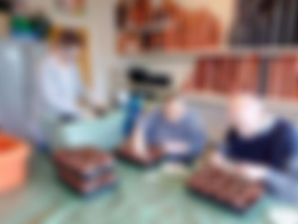 Jubilee Gardens (1978) Limited | Charici