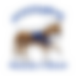 Friends Of Kenninghall Primary School | Charici