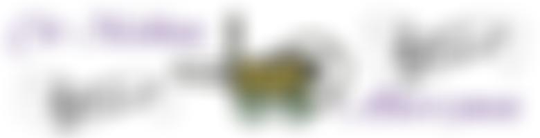 Cor Meibion Abercynon | Charici