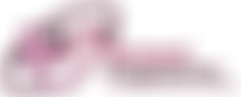 Newham Community Renewal Programme Limited | Charici