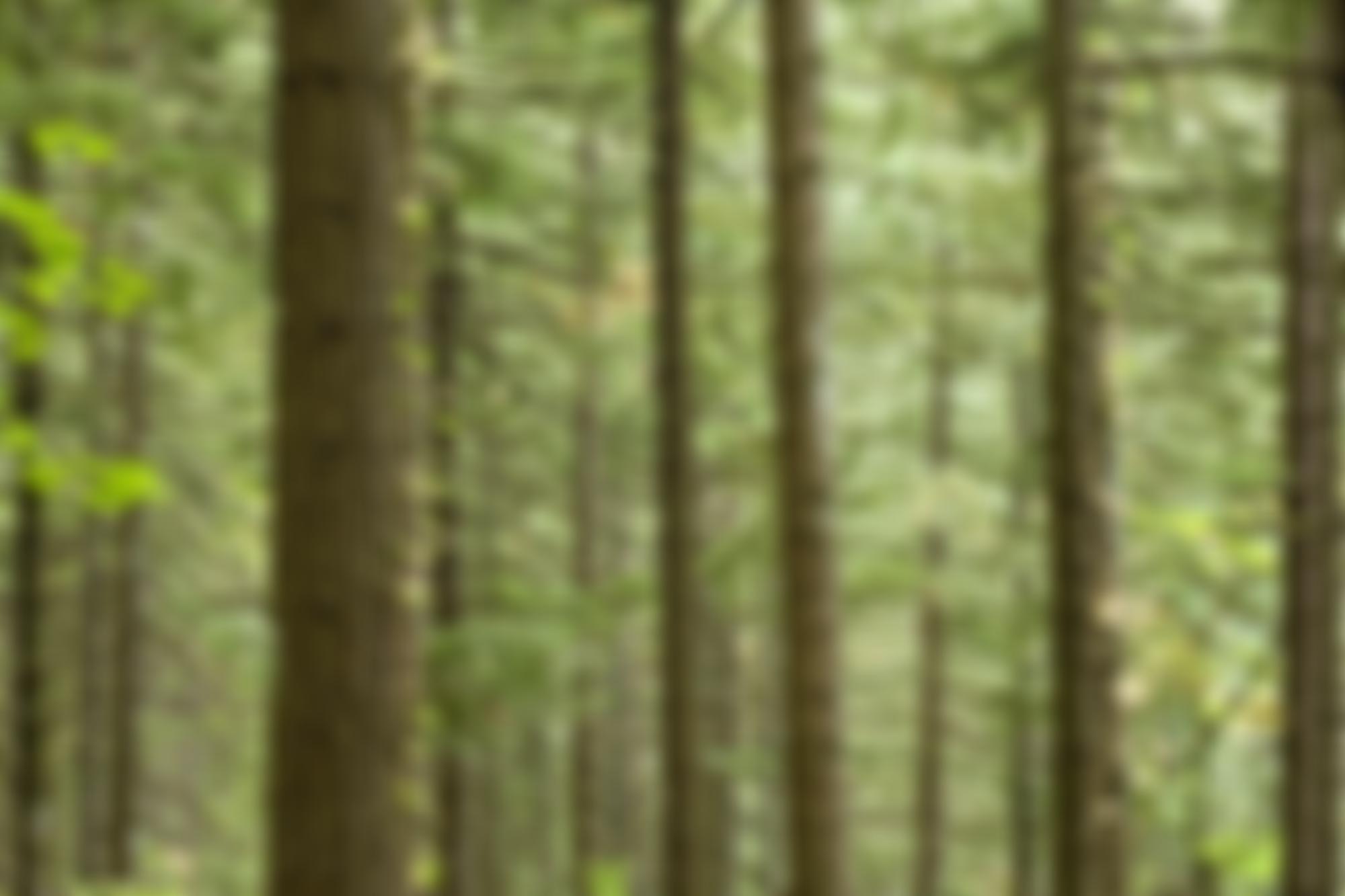 Havant Spiritualist Church | Charici