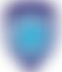 Berkshire County Girls Football League | Charici