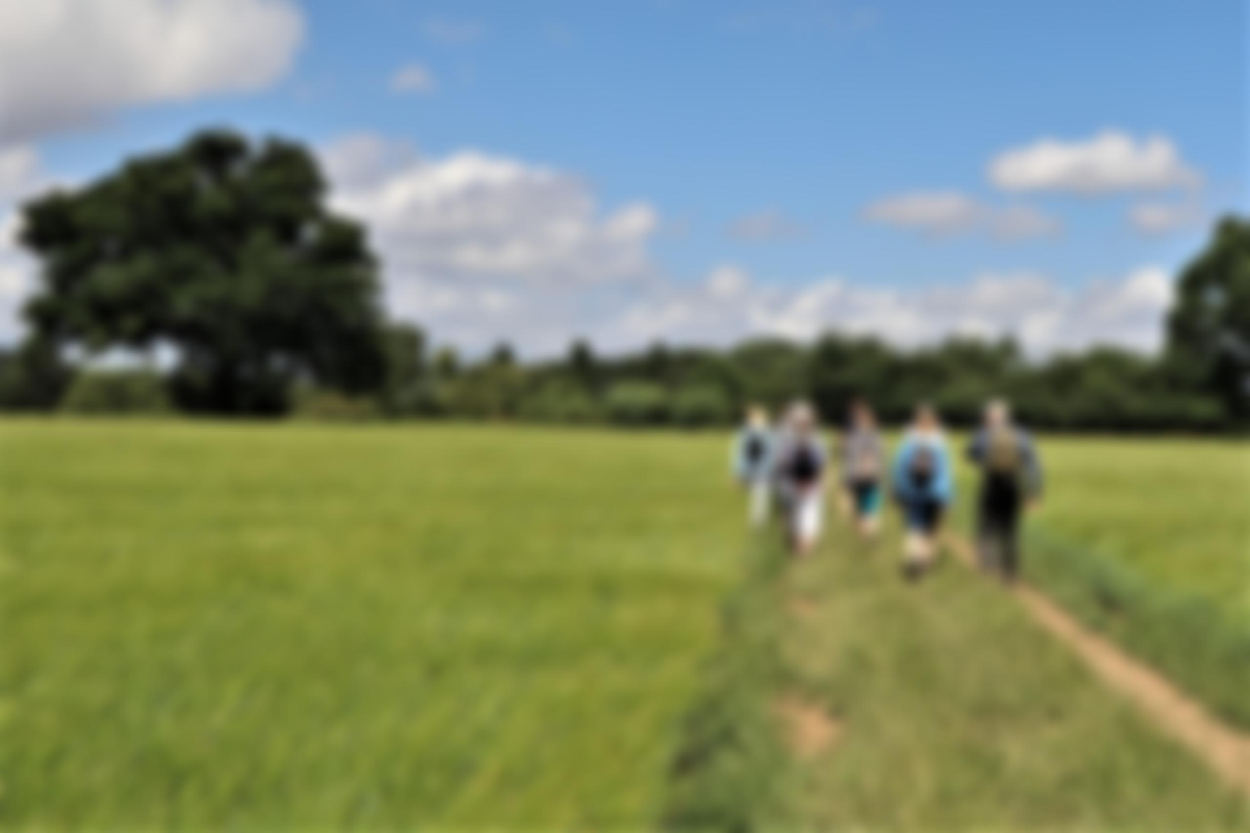 Cpre Hertfordshire | Charici