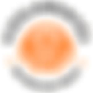 Vizslamentes UK Rescue Trust | Charici