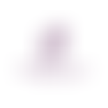 The Carmela & Ronnie Pignatelli Foundation | Charici