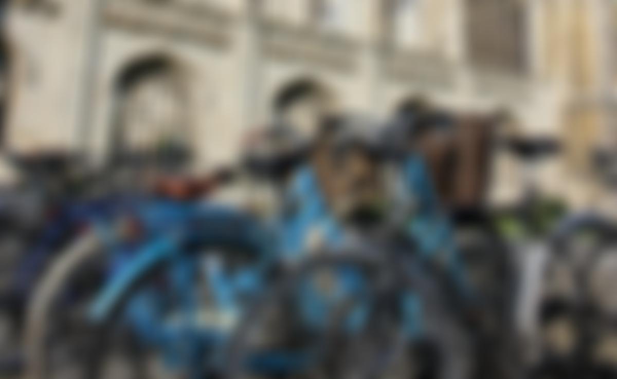 The Arts Society Cambridge | Charici