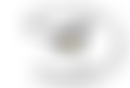 Wimborne Wagtails Swimming Club For The Disabled | Charici