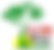 Needs Africa | Charici