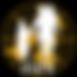 International Shadow Peace Force | Charici