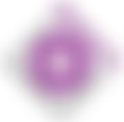 Friends Of Repton Parish Church | Charici