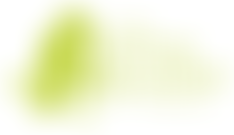 The Thomas Scanlan Trust | Charici