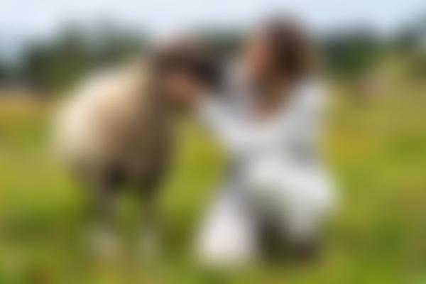 Goodheart Animal Sanctuaries | Charici