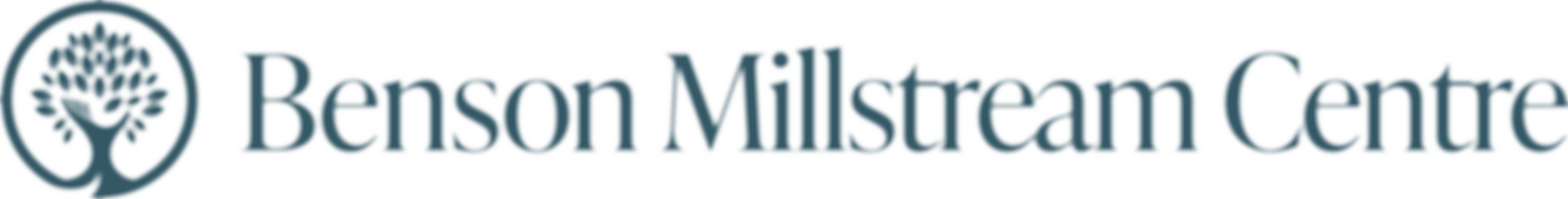 Millstream Day Centre | Charici