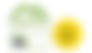 Spring Housing Association Limited | Charici