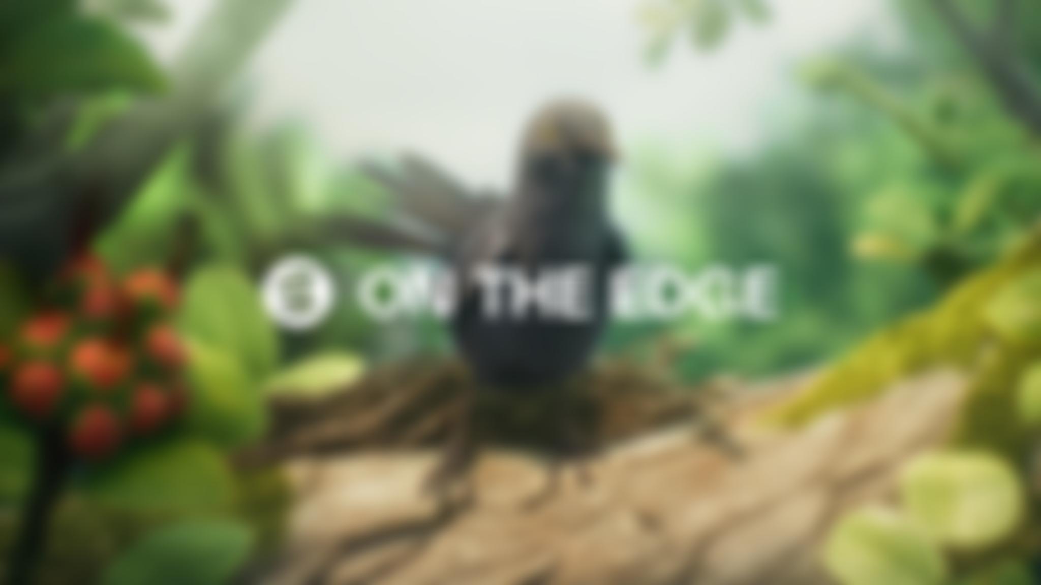 On The Edge Conservation | Charici