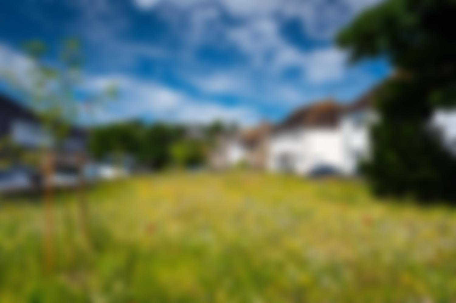 Hythe Triangle Community Garden | Charici