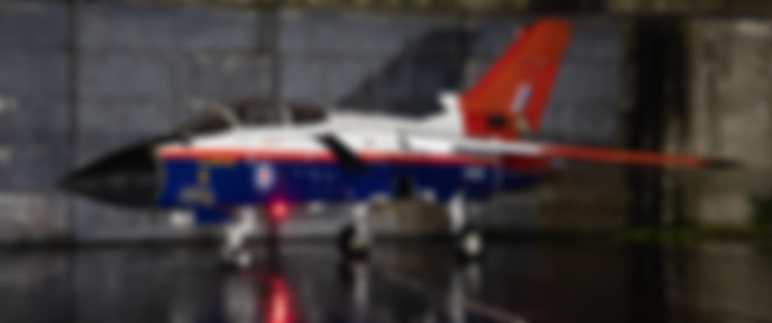 Panavia Tornado Preservation Group | Charici